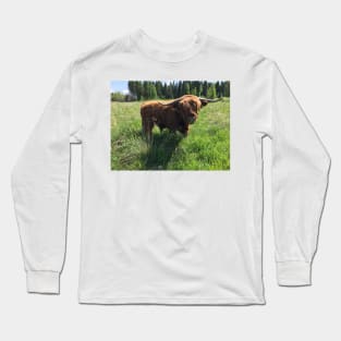 Scottish Highland Cattle Bull 2414 Long Sleeve T-Shirt